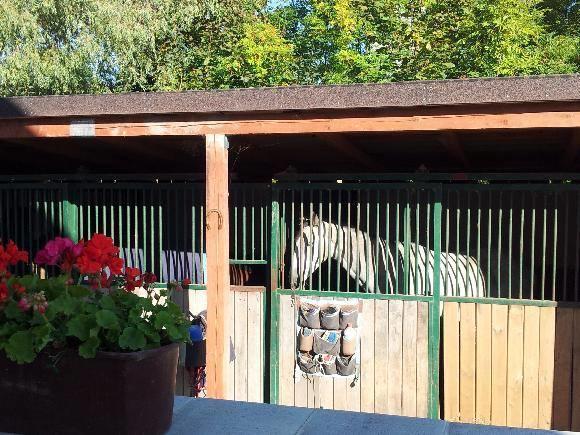 Farm Stay Nh Stables Nyrany Εξωτερικό φωτογραφία