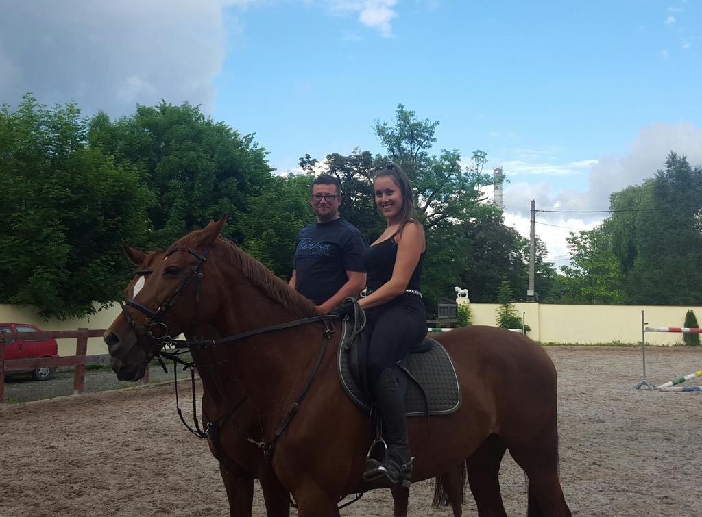 Farm Stay Nh Stables Nyrany Εξωτερικό φωτογραφία