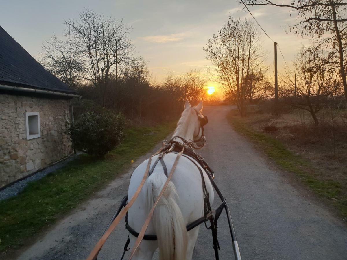 Farm Stay Nh Stables Nyrany Εξωτερικό φωτογραφία