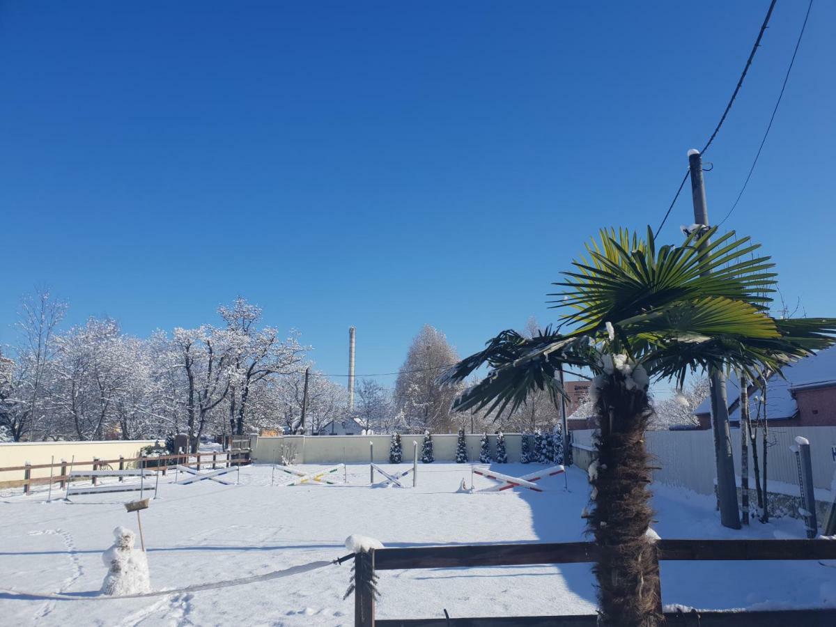 Farm Stay Nh Stables Nyrany Εξωτερικό φωτογραφία