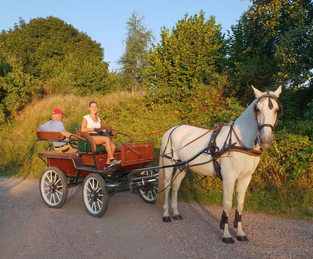 Farm Stay Nh Stables Nyrany Εξωτερικό φωτογραφία